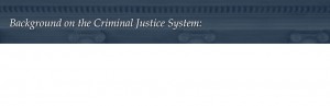 Background on the criminal justice system